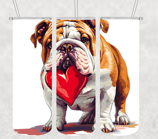 BullDog 20oz Tumbler